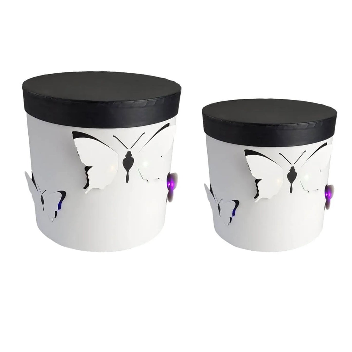 Round Butterfly Flower Box with LED Lights - Elegant Supply