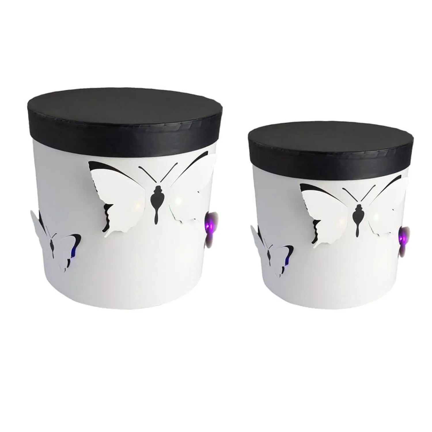 Round Butterfly Flower Box with LED Lights - Elegant Supply