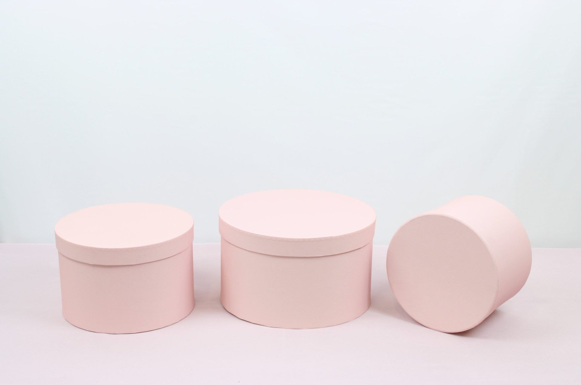 Shiny Shallow Round Flower Hat Box with Lid - Various Colors and Sizes - For Preserved Roses / Gift / Chocolate Strawberries Arrangements - Elegant Supply