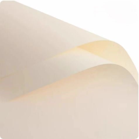 Solid Color Korean Inspired Flower Wrapping Paper (20pcs/bag) - Elegant Supply