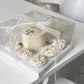 Tall Transparent Bento Box (5 pcs / set) - Elegant Supply