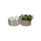 Velvet Round Flower Gift Box with Ribbon - Elegant Supply