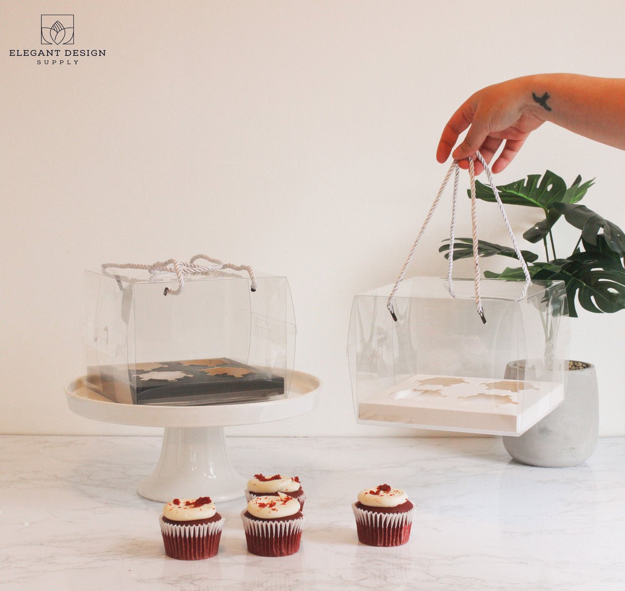 Clear 4 Regular Cupcakes box with strings (set of 2) - Elegant Supply