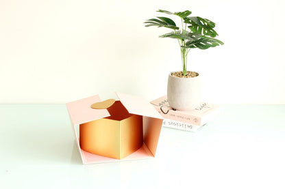 Square Curtain Opening with Heart Insert Flower Box - Elegant Supply