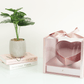 Square PVC Flower Box with Tilted Heart and Drawer - Elegant Supply