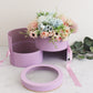 Two Layers Round Flower Box with Clear Lid - Elegant Supply