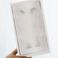 White Smash Bear Box with Clear Lid (set of 5) - Elegant Supply